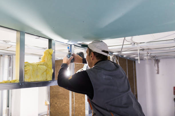 Best Insulation Removal  in Harb, OR